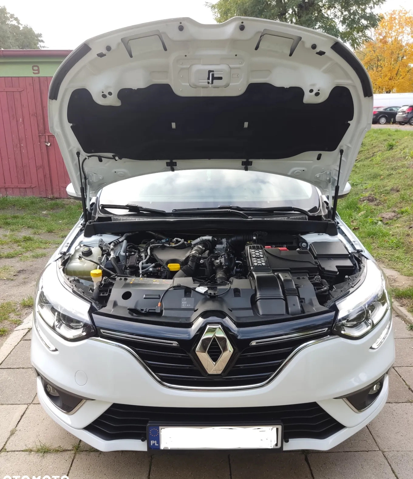 Renault Megane cena 49900 przebieg: 71240, rok produkcji 2020 z Turek małe 67